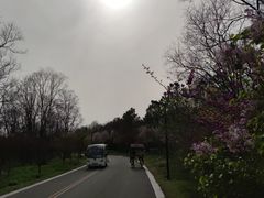 -江苏三台山国家森林公园