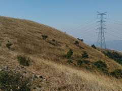android_upload_pic-清溪森林公园