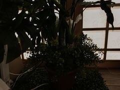 -东方之珠洗浴休闲广场(南开店)