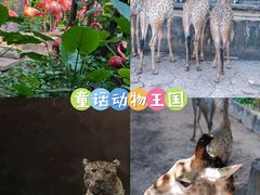 -长鹿旅游休博园