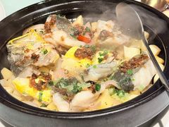 鸡枞菌焗闽东黄鱼-三号黄浦会Canton Table