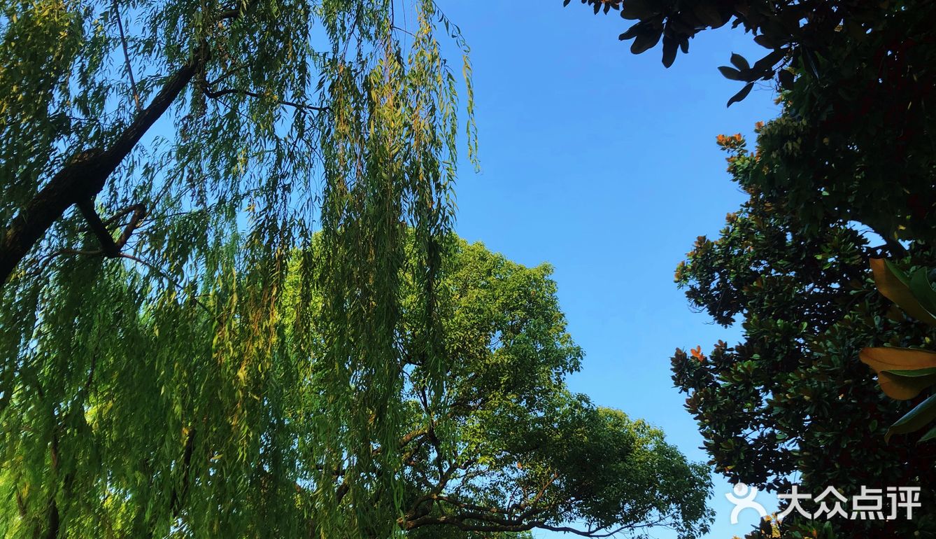 杭州旅游，一篇攻略就够了！