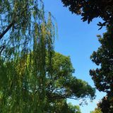 杭州旅游，一篇攻略就够了！