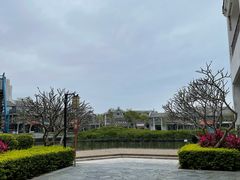 -天后宫岭南民俗文化街