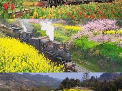 -黄龙溪欢乐田园