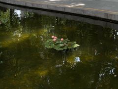 -常州古运河南大街文化旅游区-人民公园