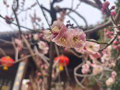 -云龙山
