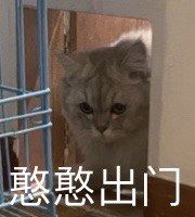 -月迷津渡(吾悦国际店)