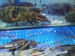 -日照大牌檔•小船海鲜(万平口店)