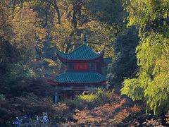 -岳麓山风景名胜区