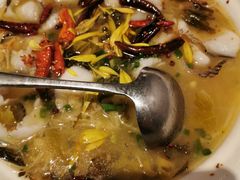 养生酸菜鱼-小资太太餐厅(南岗区店)