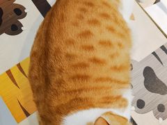 -小时光咖啡馆(北锣鼓巷店)