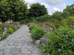 -东莞植物园