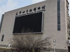 -辽宁古生物博物馆