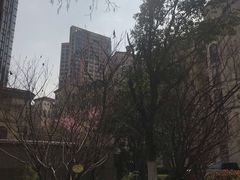 -青山湖·香溢花城