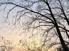 -灵顺寺