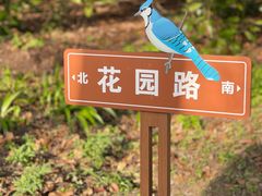 -上海滨江森林公园