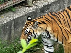 -宿豫区运河湾森林动物园