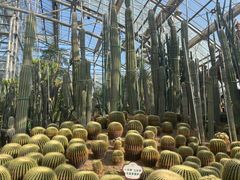 -南山植物园