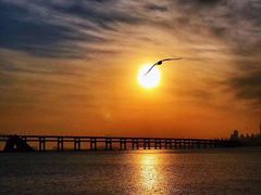 -星海湾跨海大桥