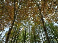 -重庆中央公园(渝北区)