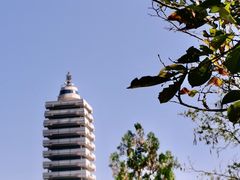 -原山国家森林公园