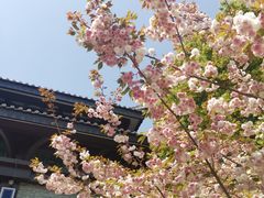 -句容茅山景区