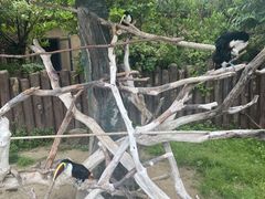 -上海野生动物园