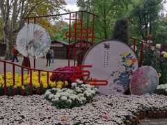 -上海共青森林公园