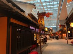 -TIAT DUTY FREE SHOP NORTH(羽田机场店)