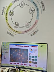 -凡碧诗毛孔清洁收细