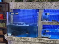 -香山湖渔家大院