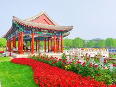 -西海子公园