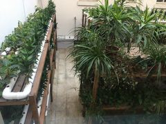 -天津大学附属中学