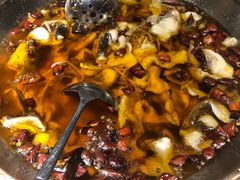 -雲蜀龙阁·金牌水煮鱼(方庄店)