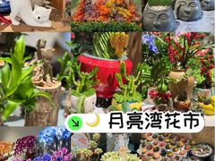 -瑞虹新天地月亮湾