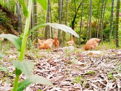 -将军关探险漂流