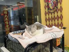 -谜盒子奇幻密室(南屏店)
