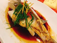 -化州大众美食城(宝安老牌店)
