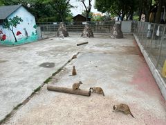 -苏州太湖西山岛开心农场