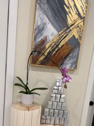 -海涛医疗美容·面部抗衰·注射美鼻