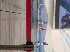 -北戴河圣蓝海洋公园