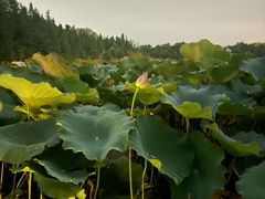 -云龙湖旅游景区