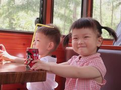 -合肥滨湖国家森林公园