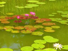 -国家植物园南园