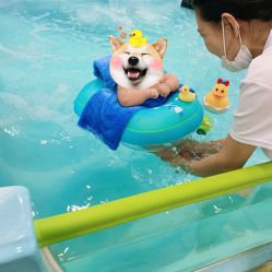 -四季宝贝婴幼儿水育成长中心(陆家嘴店)