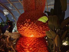 -Hi City·城市之巅