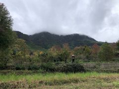 -塔川景区