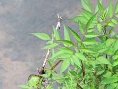 -湖洞水自然风景区