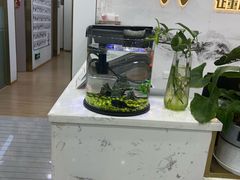 -启辰口腔(南坪店)